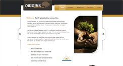 Desktop Screenshot of originslab.com